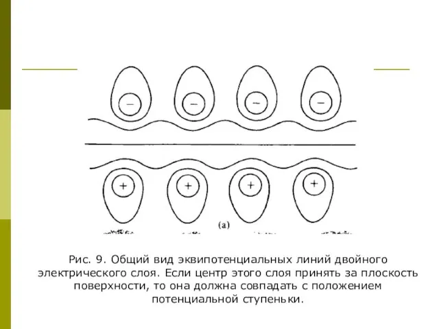 Рис. 9. Общий вид эквипотенциальных линий двойного электрического слоя. Если центр этого