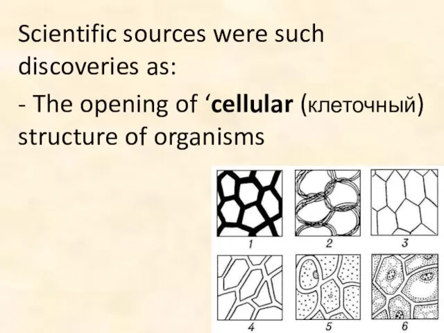 Scientific sources were such discoveries as: - The opening of ‘cellular (клеточный) structure of organisms