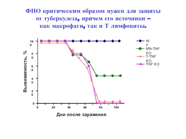 ФНО критическим образом нужен для защиты от туберкулеза, причем его источники –