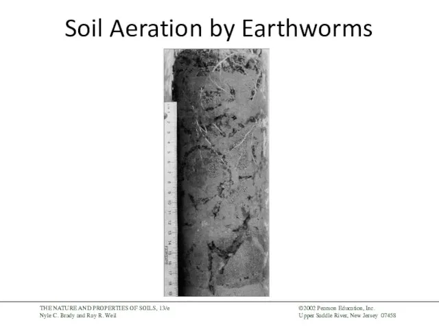Soil Aeration by Earthworms