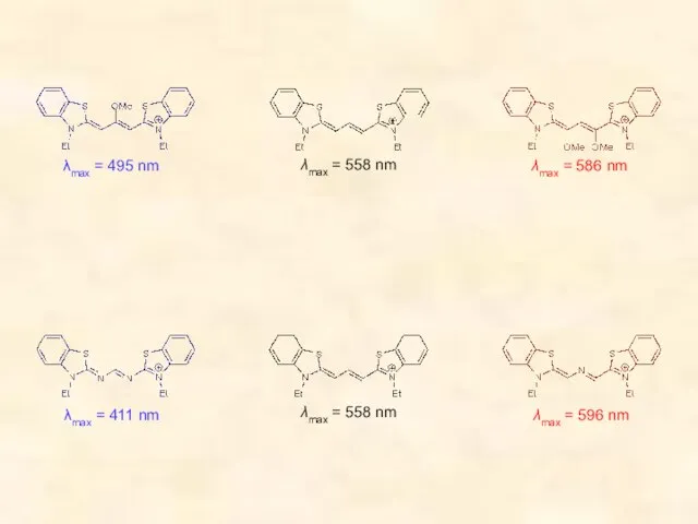 λmax = 558 nm λmax = 495 nm λmax = 586 nm