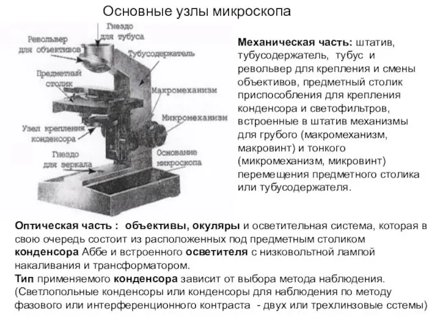 Основные узлы микроскопа Механическая часть: штатив, тубусодержатель, тубус и револьвер для крепления