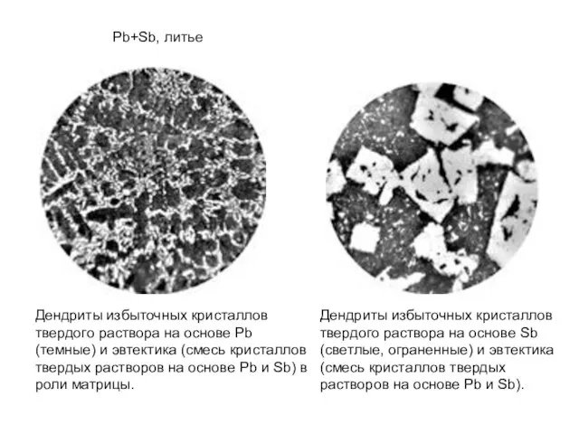 Pb+Sb, литье Дендриты избыточных кристаллов твердого раствора на основе Pb (темные) и