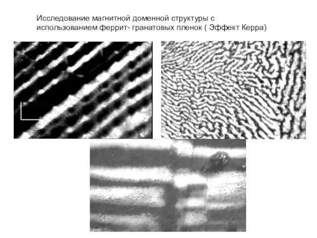 Исследование магнитной доменной структуры с использованием феррит- гранатовых пленок ( Эффект Керра)