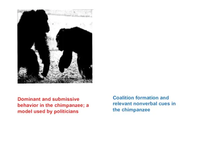 Dominant and submissive behavior in the chimpanzee; a model used by politicians