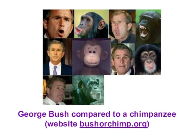 George Bush compared to a chimpanzee (website bushorchimp.org)