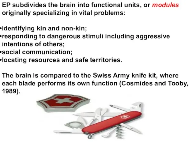 EP subdivides the brain into functional units, or modules originally specializing in