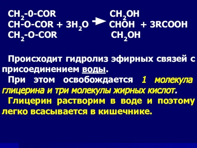 СН2-0-COR CH2OH CH-O-COR + 3H2O СHOH + 3RCOOH CH2-O-COR CH2OH Происходит гидролиз