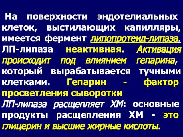 На поверхности эндотелиальных клеток, выстилающих капилляры, имеется фермент липопротеид-липаза. ЛП-липаза неактивная. Активация