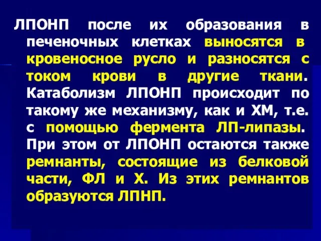 ЛПОНП после их образования в печеночных клетках выносятся в кровеносное русло и