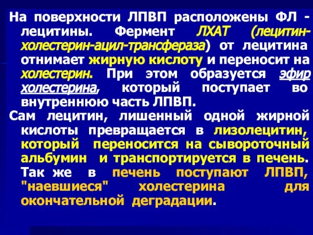 На поверхности ЛПВП расположены ФЛ - лецитины. Фермент ЛХАТ (лецитин-холестерин-ацил-трансфераза) от лецитина