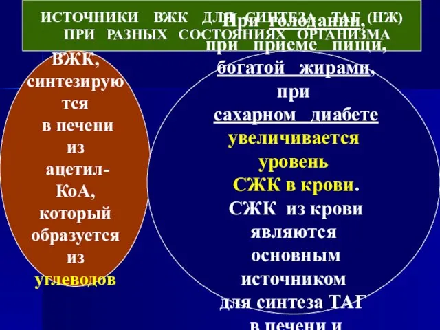 ИСТОЧНИКИ ВЖК ДЛЯ СИНТЕЗА ТАГ (НЖ) ПРИ РАЗНЫХ СОСТОЯНИЯХ ОРГАНИЗМА ВЖК, синтезируются