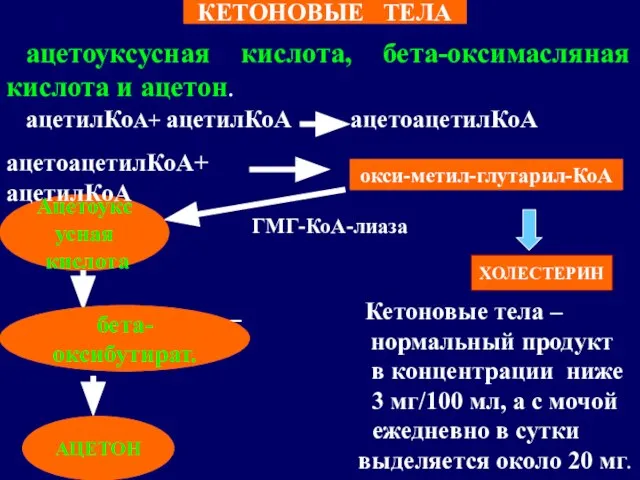 ацетоуксусная кислота, бета-оксимасляная кислота и ацетон. ацетилКоА+ ацетилКоА ацетоацетилКоА ГМГ-КоА-лиаза Кетоновые тела