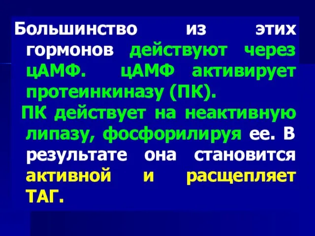 Большинство из этих гормонов действуют через цАМФ. цАМФ активирует протеинкиназу (ПК). ПК