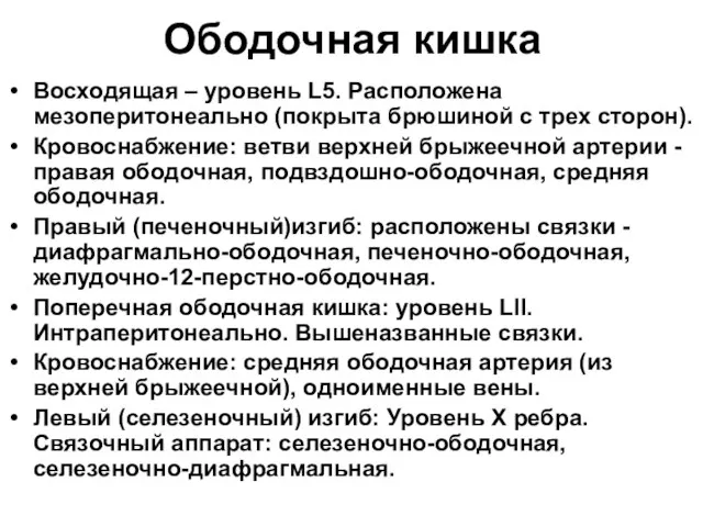 Ободочная кишка Восходящая – уровень L5. Расположена мезоперитонеально (покрыта брюшиной с трех