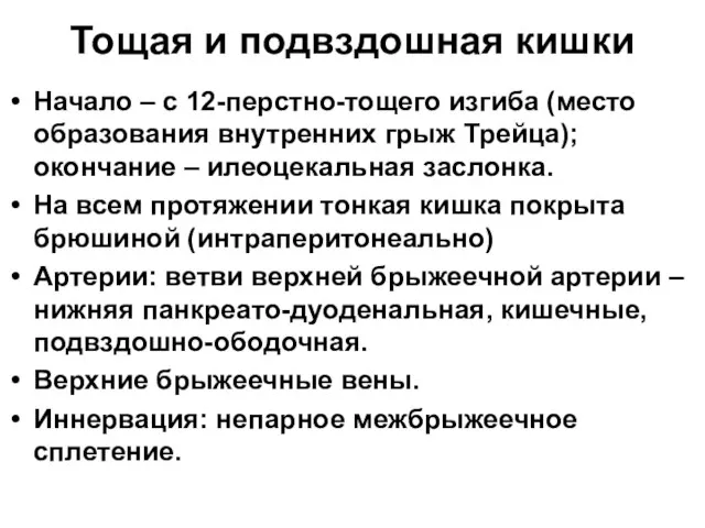 Тощая и подвздошная кишки Начало – с 12-перстно-тощего изгиба (место образования внутренних