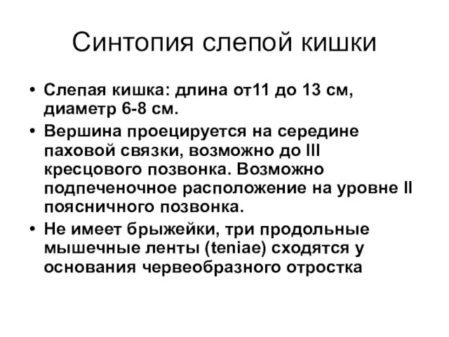 Синтопия слепой кишки Слепая кишка: длина от11 до 13 см, диаметр 6-8