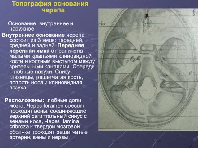 Топография основания черепа Основание: внутреннее и наружное Внутреннее основание черепа состоит из