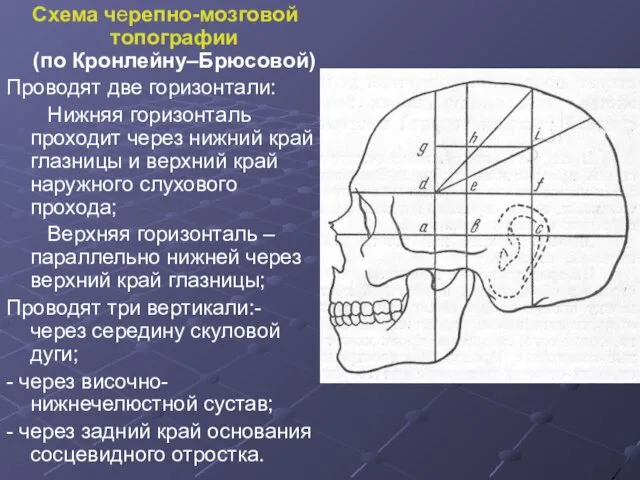 Схема черепно-мозговой топографии (по Кронлейну–Брюсовой) Проводят две горизонтали: Нижняя горизонталь проходит через