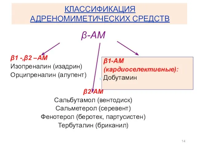 КЛАССИФИКАЦИЯ АДРЕНОМИМЕТИЧЕСКИХ СРЕДСТВ β-АМ β1 -,β2 –АМ Изопреналин (изадрин) Орципреналин (алупент) β2-АМ