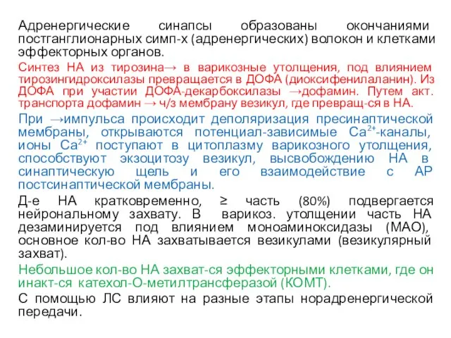 Адренергические синапсы образованы окончаниями постганглионарных симп-х (адренергических) волокон и клетками эффекторных органов.