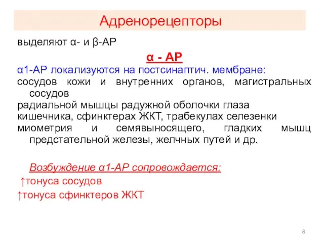 Адренорецепторы выделяют α- и β-АР α - АР α1-АР локализуются на постсинаптич.