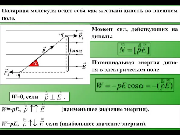 Полярная молекула ведет себя как жесткий диполь во внешнем поле. Момент сил,