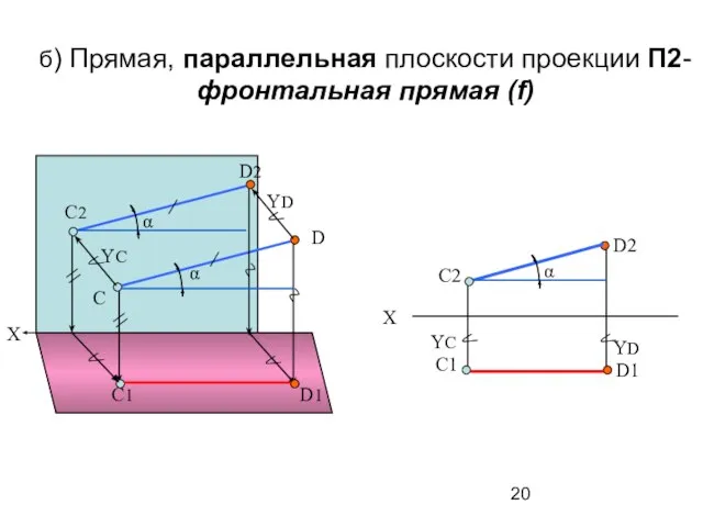 б) Прямая, параллельная плоскости проекции П2- фронтальная прямая (f) С D С2