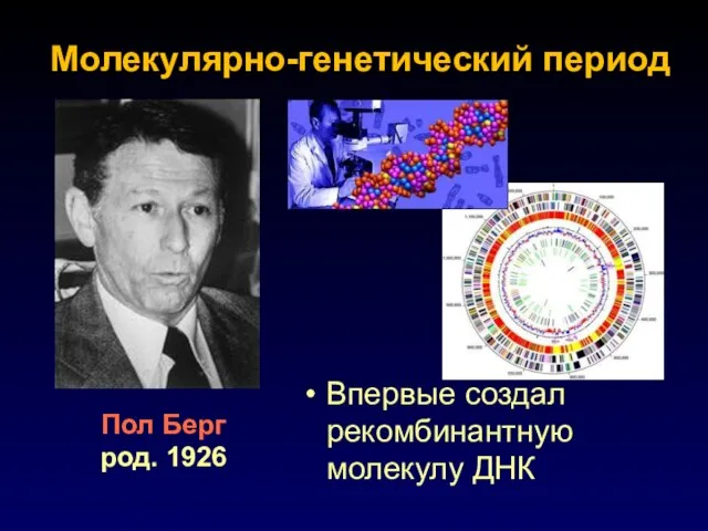 Впервые создал рекомбинантную молекулу ДНК Молекулярно-генетический период Пол Берг род. 1926