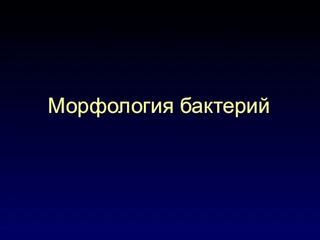 Морфология бактерий