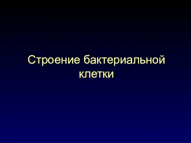 Строение бактериальной клетки