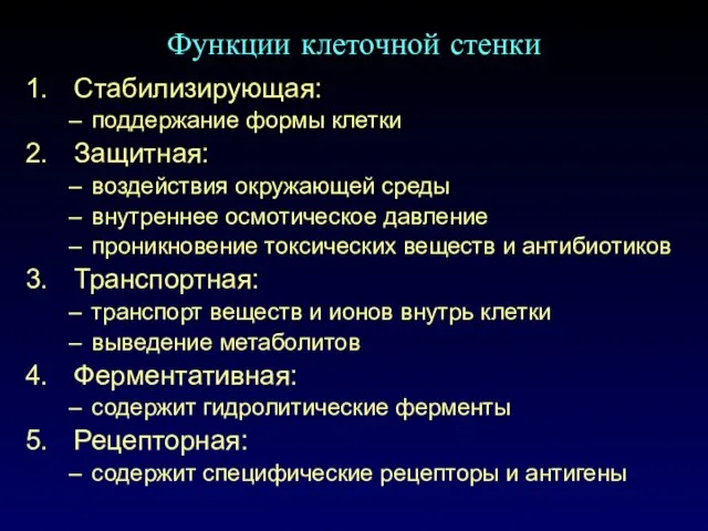 Функции клеточной стенки Стабилизирующая: поддержание формы клетки Защитная: воздействия окружающей среды внутреннее