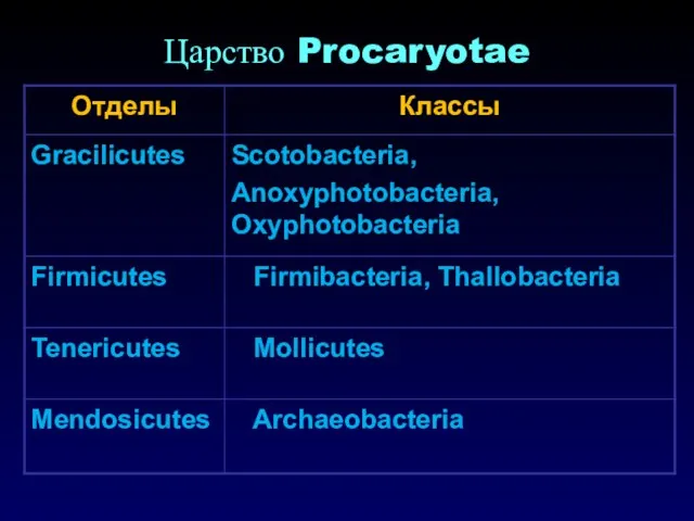 Царство Procaryotae