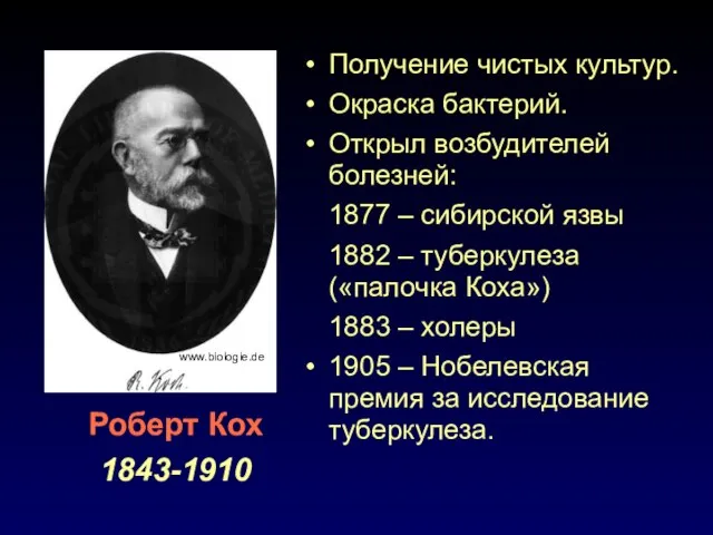 www.biologie.de Роберт Кох 1843-1910 Получение чистых культур. Окраска бактерий. Открыл возбудителей болезней: