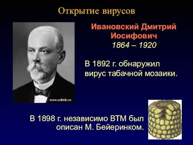 Открытие вирусов В 1898 г. независимо ВТМ был описан М. Бейеринком. Ивановский