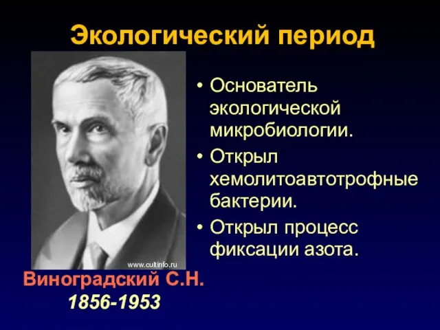 Основатель экологической микробиологии. Открыл хемолитоавтотрофные бактерии. Открыл процесс фиксации азота. www.cultinfo.ru Виноградский С.Н. 1856-1953 Экологический период