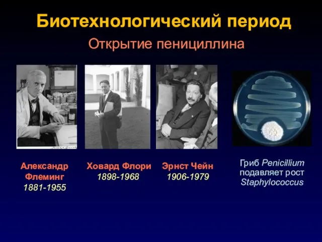 Биотехнологический период Ховард Флори 1898-1968 Эрнст Чейн 1906-1979 Александр Флеминг 1881-1955 Открытие