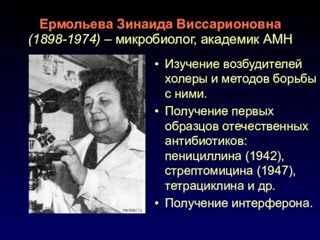 Ермольева Зинаида Виссарионовна (1898-1974) – микробиолог, академик АМН Изучение возбудителей холеры и