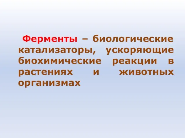 Ферменты – биологические катализаторы, ускоряющие биохимические реакции в растениях и животных организмах