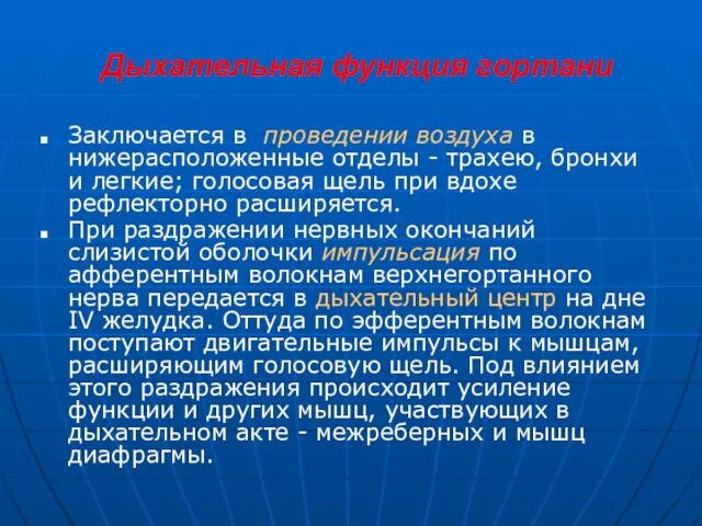 Дыхательная функция гортани Заключается в проведении воздуха в нижерасположенные отделы - трахею,