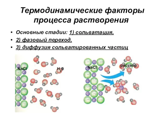 Термодинамические факторы процесса растворения Основные стадии: 1) сольватация, 2) фазовый переход, 3)