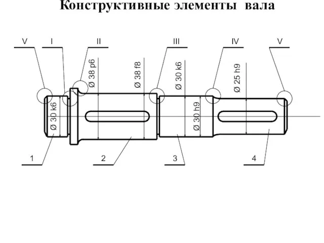 Конструктивные элементы вала Ø 30 k6 Ø 38 p6 Ø 38 f8