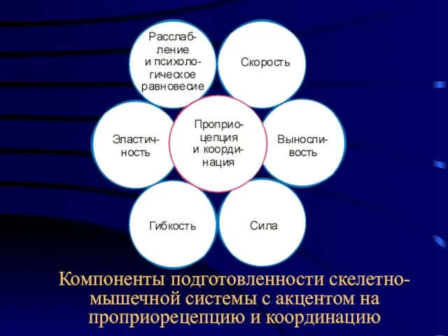 Компоненты подготовленности скелетно-мышечной системы с акцентом на проприорецепцию и координацию