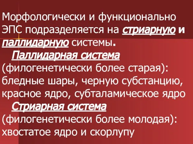 Морфологически и функционально ЭПС подразделяется на стриарную и паллидарную системы. Паллидарная система