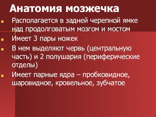 Анатомия мозжечка Располагается в задней черепной ямке над продолговатым мозгом и мостом