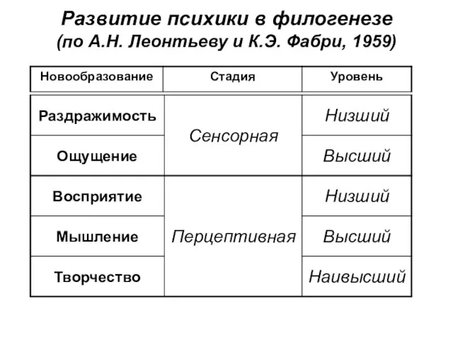 Развитие психики в филогенезе (по А.Н. Леонтьеву и К.Э. Фабри, 1959)