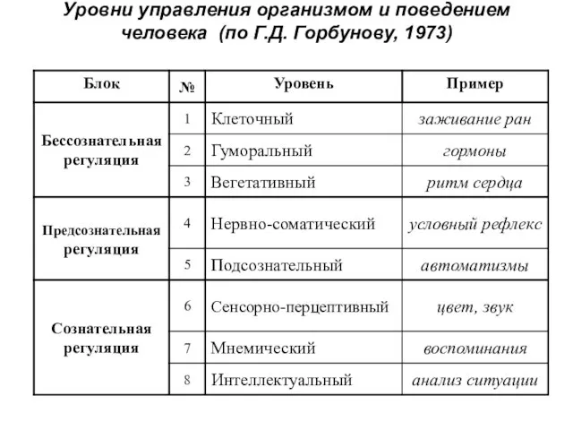 Уровни управления организмом и поведением человека (по Г.Д. Горбунову, 1973)