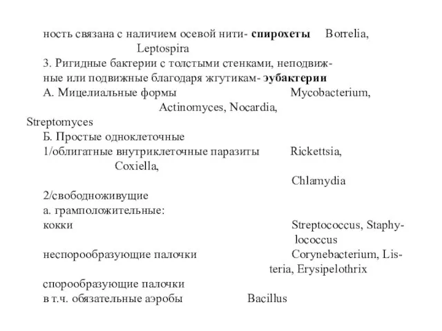 ность связана с наличием осевой нити- спирохеты Borrelia, Leptospira 3. Ригидные бактерии