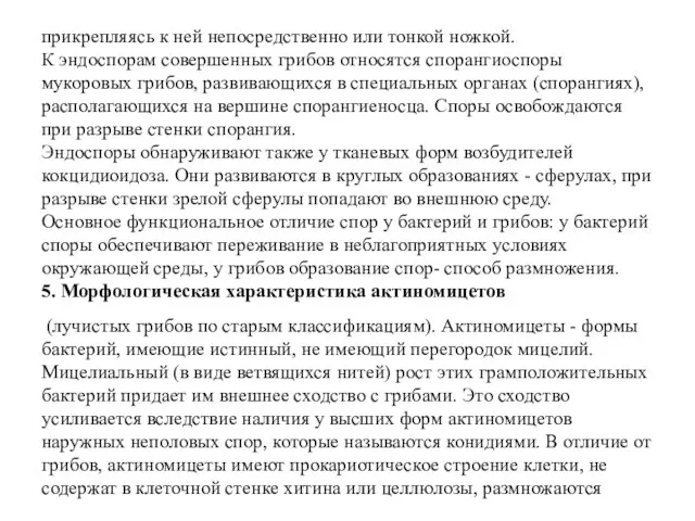 прикрепляясь к ней непосредственно или тонкой ножкой. К эндоспорам совершенных грибов относятся