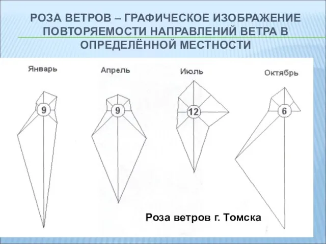 РОЗА ВЕТРОВ – ГРАФИЧЕСКОЕ ИЗОБРАЖЕНИЕ ПОВТОРЯЕМОСТИ НАПРАВЛЕНИЙ ВЕТРА В ОПРЕДЕЛЁННОЙ МЕСТНОСТИ Роза ветров г. Томска